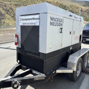 2019 WACKER NEUSON G100