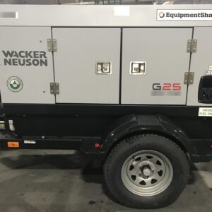 2019 WACKER NEUSON G25