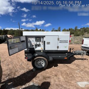 2019 WACKER NEUSON G25