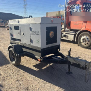 2019 WACKER NEUSON G25