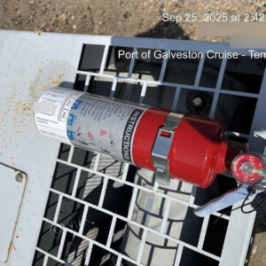 2019 WACKER NEUSON G25