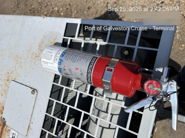 2019 WACKER NEUSON G25