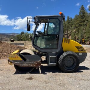 2019 WACKER NEUSON RC50P