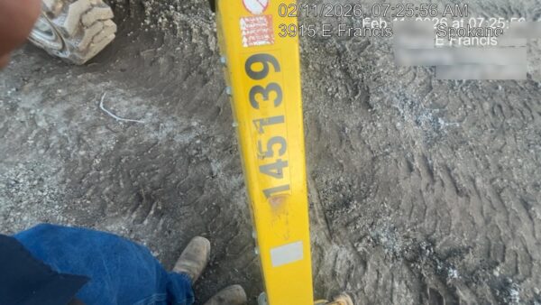 2020 WACKER NEUSON DPU5545Heh