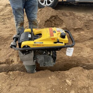2021 WACKER NEUSON BS50-4As