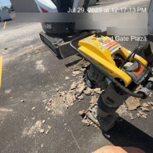 2021 WACKER NEUSON BS60-4As