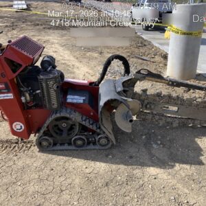 2022 TORO TRX-250