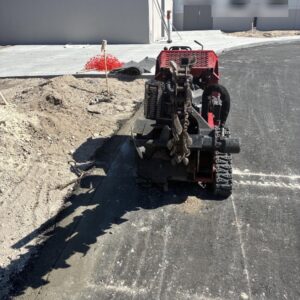 2022 TORO TRX-250